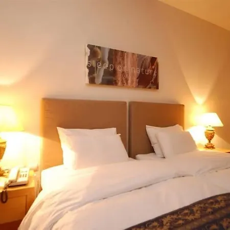Hotel Le Palace 3*
